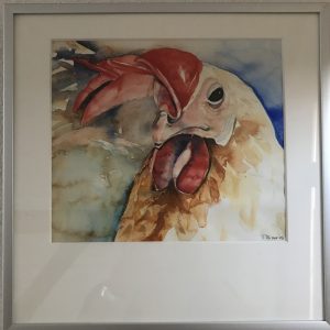 Aquarel Haan