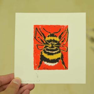 Linosnede Hommel