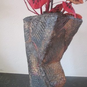 vaas