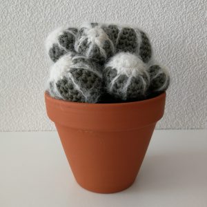 Decoratieve gehaakte groene cactus in roodstenen pot.