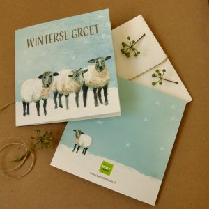 Winterse groet - Schaapjes