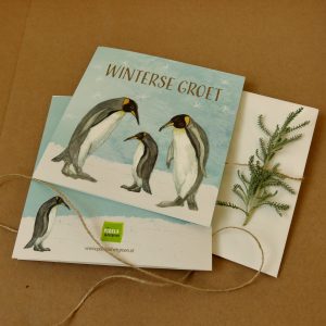Winterse groet - Pinguins
