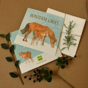 Winterse groet - Paardjes