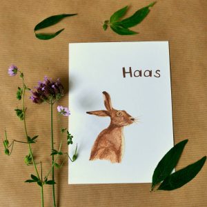 Kaart haas
