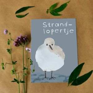 Kaart strandlopertje