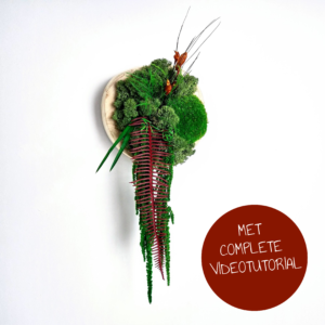 DIY-kit voor volwassenen