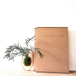DIY-kit zorgvrije wandplant