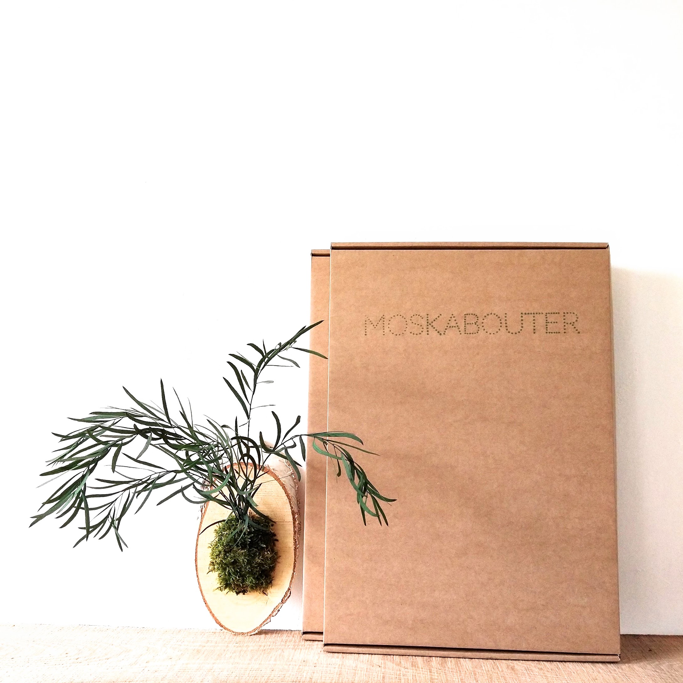 DIY-kit zorgvrije wandplant