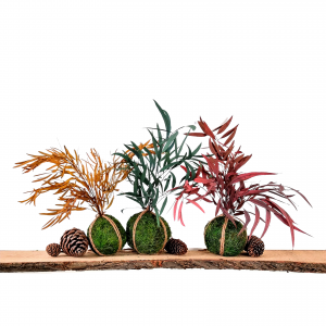 Onderhoudsvrije kokedama | ook geschikt als hangplant