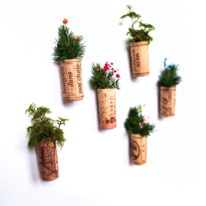 Koelkastmagneten met gepreserveerde planten | groen en duurzaam brievenbuscadeau