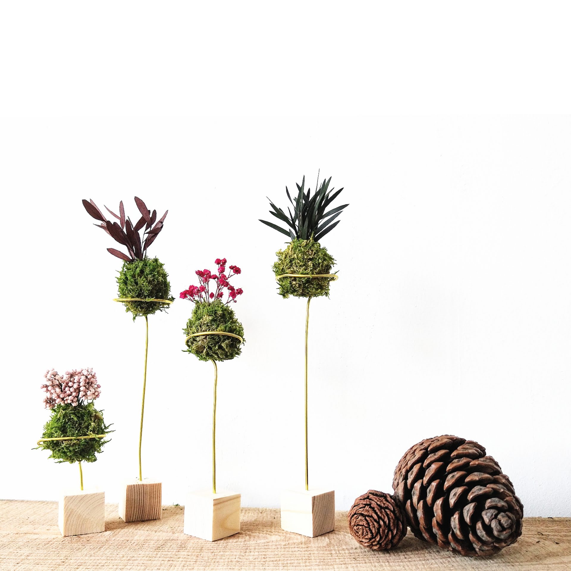 onderhoudsvrije kokedama
