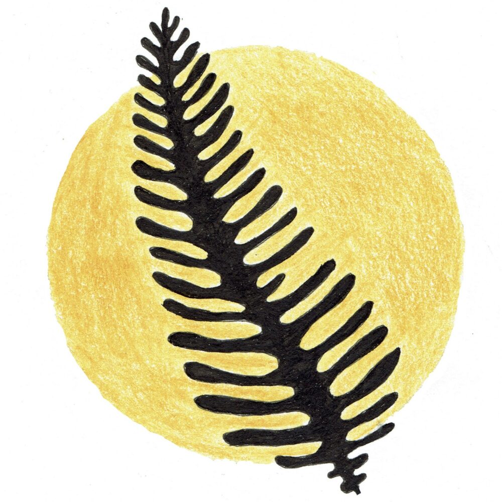 Mirja Nature Art